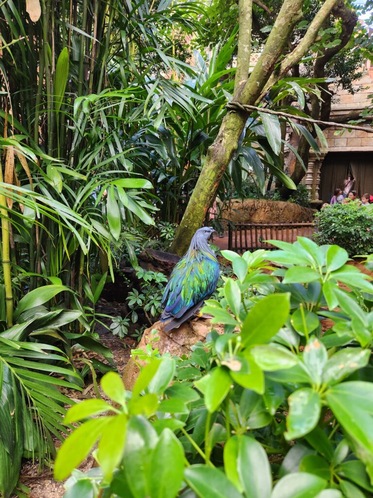 Aviary in the Maharaja Jungle Trek at Disney's Animal Kingdom